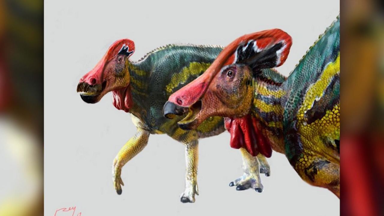CNNE 995270 - mexicanos descubren una nueva especie de dinosaurio