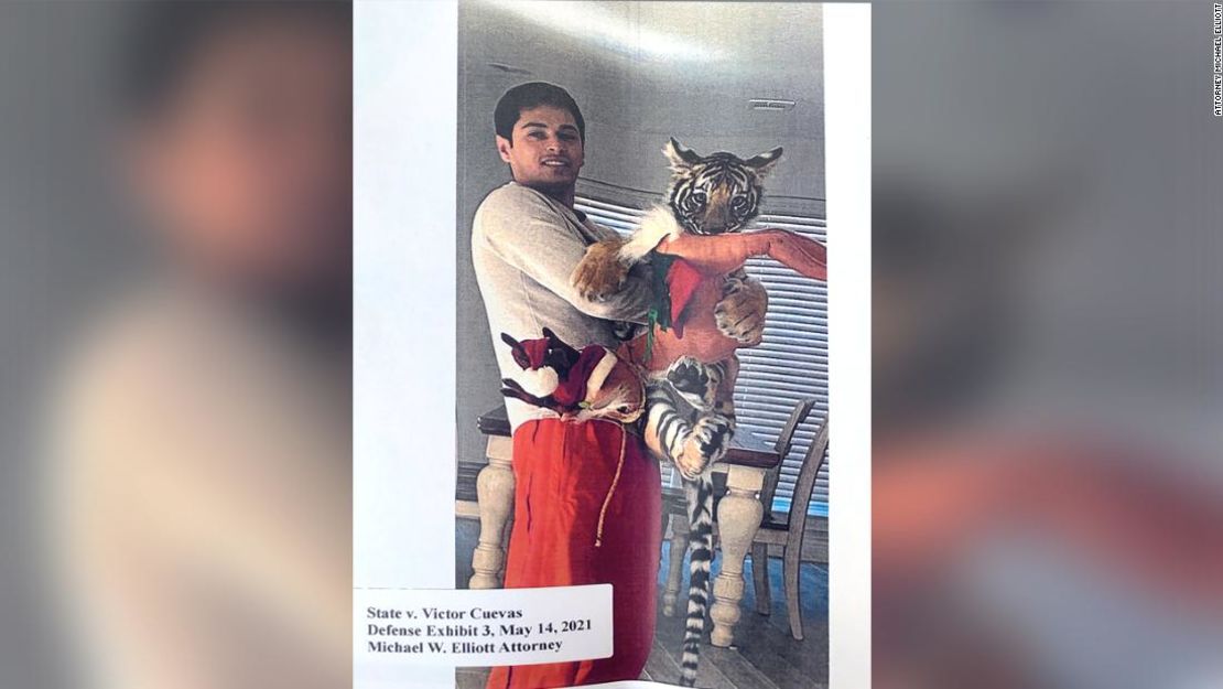 El abogado de Cuevas presentó fotos del tigre con Cuevas.