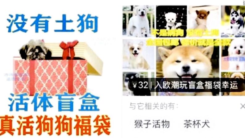 Anuncios de cajas misteriosas de mascotas que se mostraron en la emisora estatal china CCTV. El de la izquierda promete "no hay perros nativos", mientras que el otro dice "no hay perros enfermos".