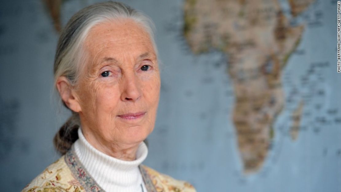 CNNE aaa278b1 - 150428105956-jane-goodall-780x439