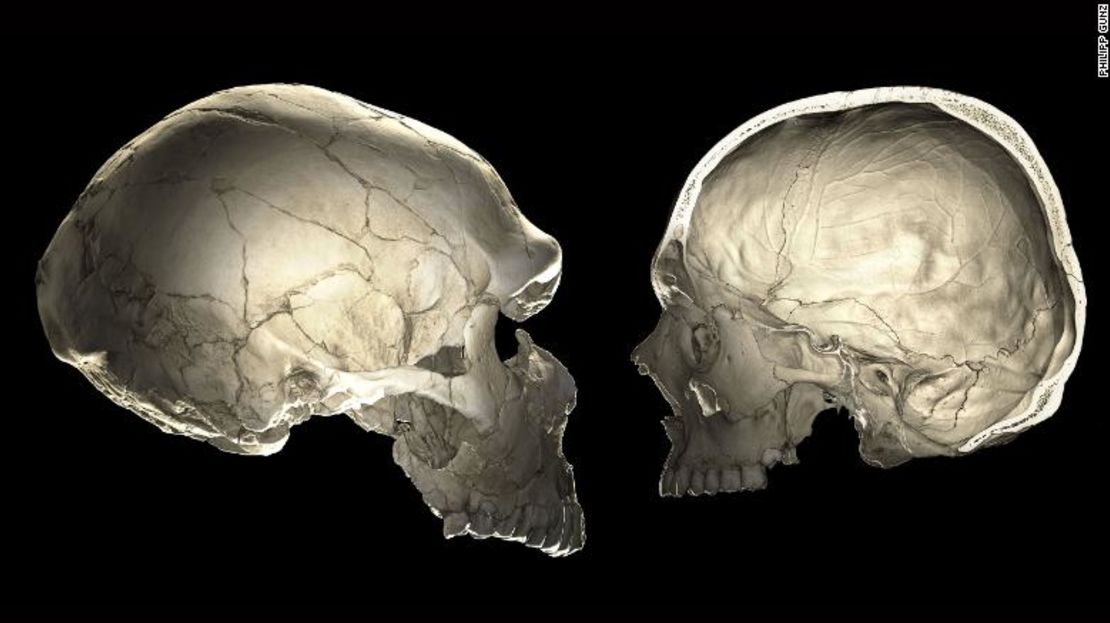 CNNE bb5dc063 - 181212124703-03-neanderthal-genes-head-scli-intl-exlarge-169