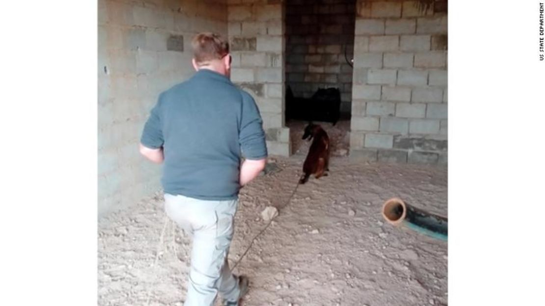 Rhino, un perro detector de minas retirado, trabajando en Siria.