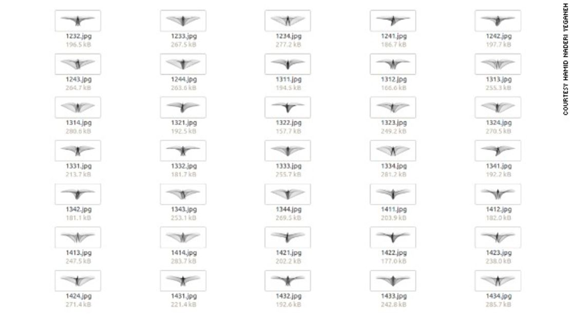 Un pájaro de Yeganeh en vuelo fue creado a través de decenas de miles de imágenes generadas por ordenador. Este diagrama muestra la imagen en evolución, ya que diferentes valores numéricos se asignan a la fórmula.