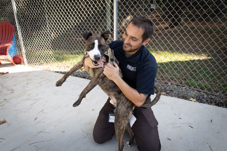 A volunteer coordinator exercises a dog in at Charlotte-Mecklenburg Animal Care and Control in November 2024.