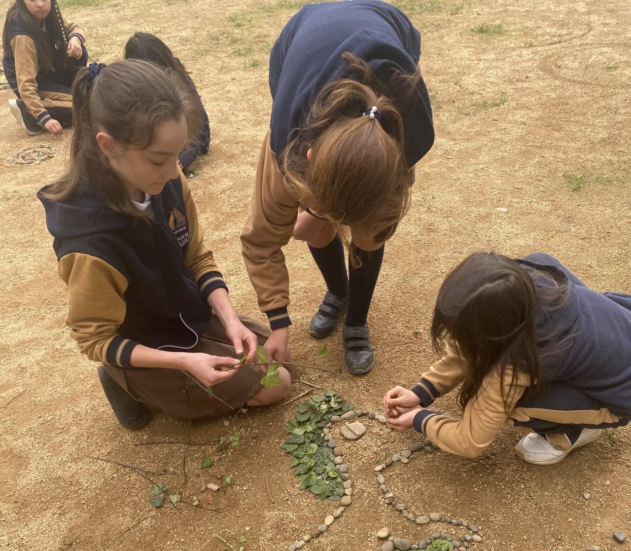 Colegio Pumahue Temuco, Chile.jpg