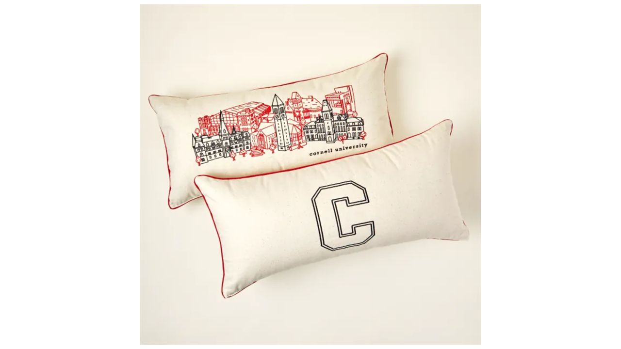 College Cityscape Embroidered Pillow.jpg