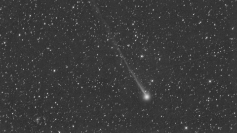 El Proyecto Telescopio Virtual observó el nuevo cometa el 8 de abril.