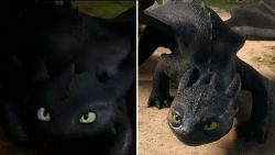 como entrenar dragon.jpg