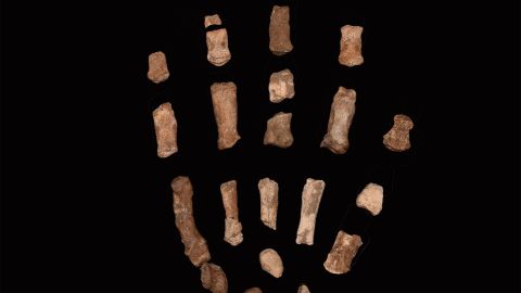 Composite-hand.jpg