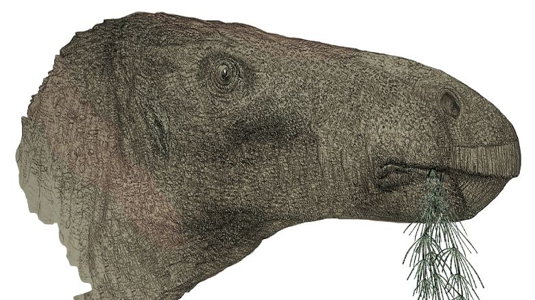 An artist's impression of the newly identified dinosaur species Comptonatus chasei, which was found on the Isle of Wight, off the coast off southern England.