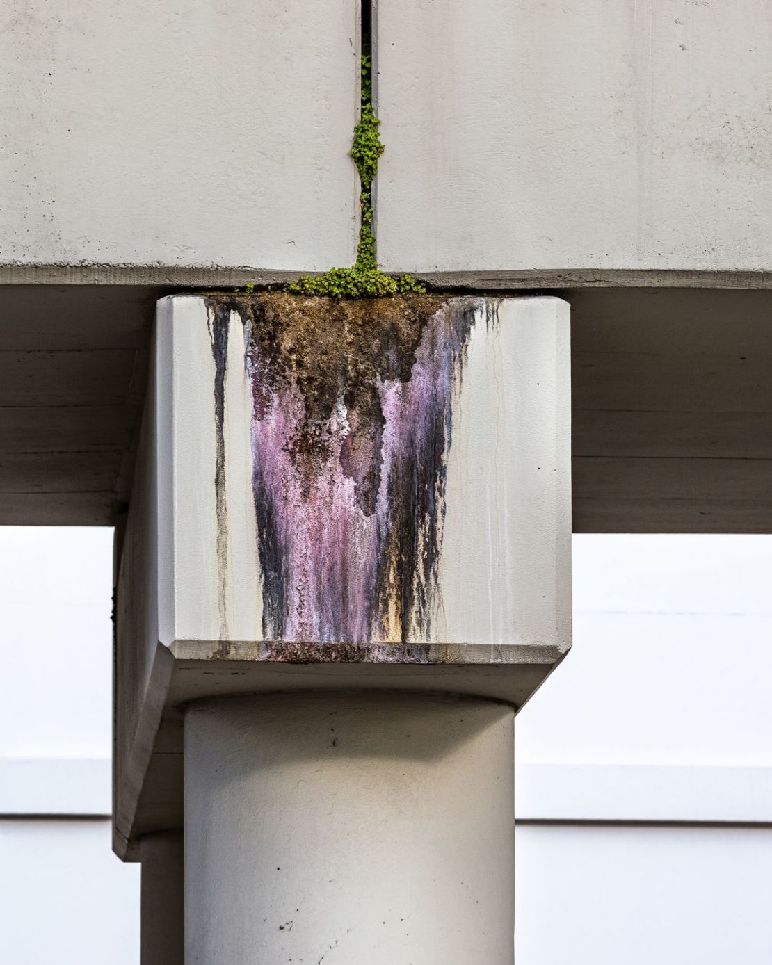 “Concrete Erosion” (2019). La serie “Flood Zone” es un estudio de la decadencia climática en tiempo real.