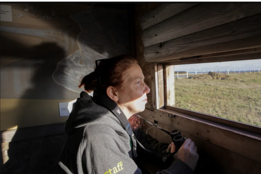 Henri Brocklebank, director de conservación del Sussex Wildlife Trust, observa desde uno de los observatorios de aves de la reserva natural de Rye Harbour.
