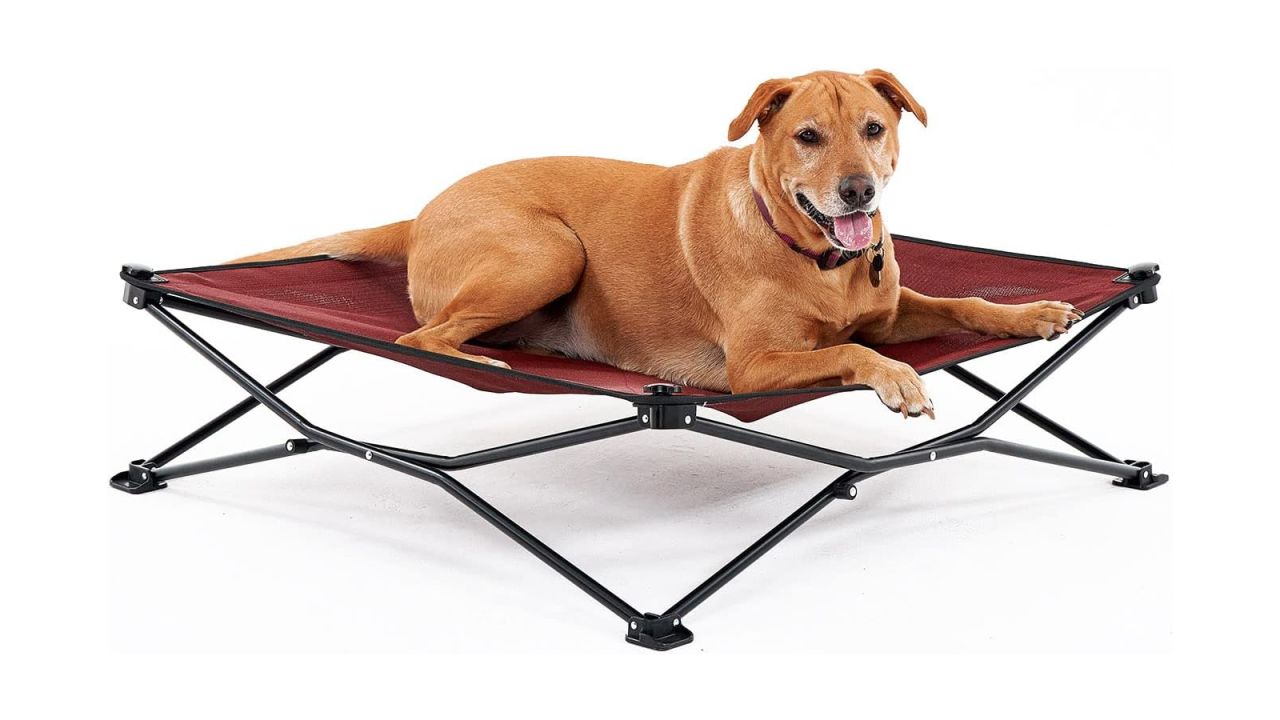 Coolaroo On the Go Cooling Elevated Dog Bed cnnu.jpg
