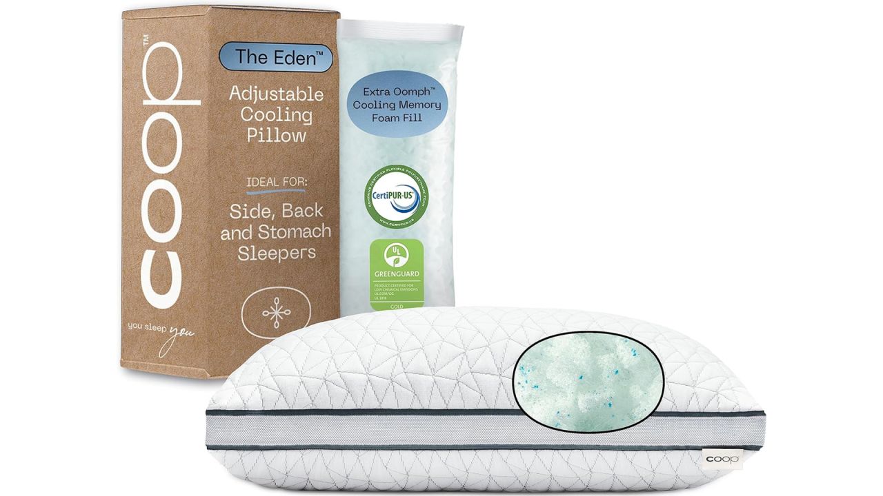  Coop Home Goods Eden Bed Pillow .jpg