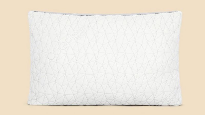 Coop home goods pillow best sale bed bath and beyond