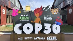 COP 30-8.jpg