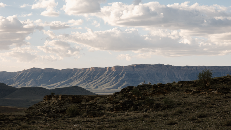 Връзката е копирана Навлизането във винопроизводството не е за хора