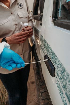 Here, a student takes a DNA swab from the door handle of a truck. DNA samples and fingerprints can be crucial for identifying and convicting a culprit.