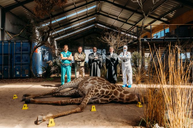 South Africa’s Wildlife Forensics Academy recreates poaching crime scenes using life-size animals preserved by taxidermy to teach students and rangers the skills required to convict poachers.