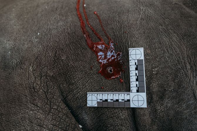 During the course, students are taught how to identify different causes of death, from bullet holes (recreated here using red paint) to poison.