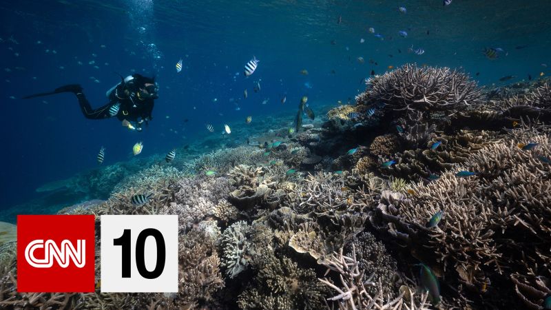 CNN 10: The big stories of the day, explained in 10 minutes