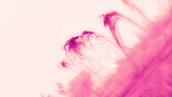 coronal-rain.png