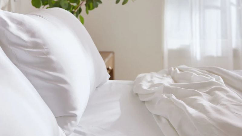 Hot New Product Releases: Samsonite x Boss, Bearaby, and Thirdlove