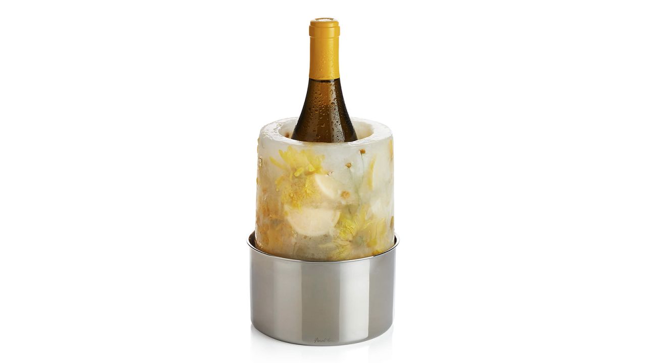 Crate & Barrel Ice Mold & Wine Bottle Chiller cnnu.jpg