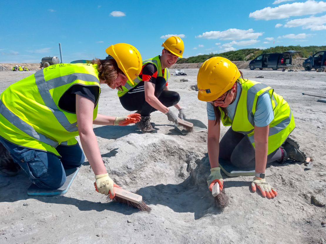 During a one-week excavation in June 2024, groups of volunteers gently remove debris from the dinosaur trackways to reveal the scale of many footprints.