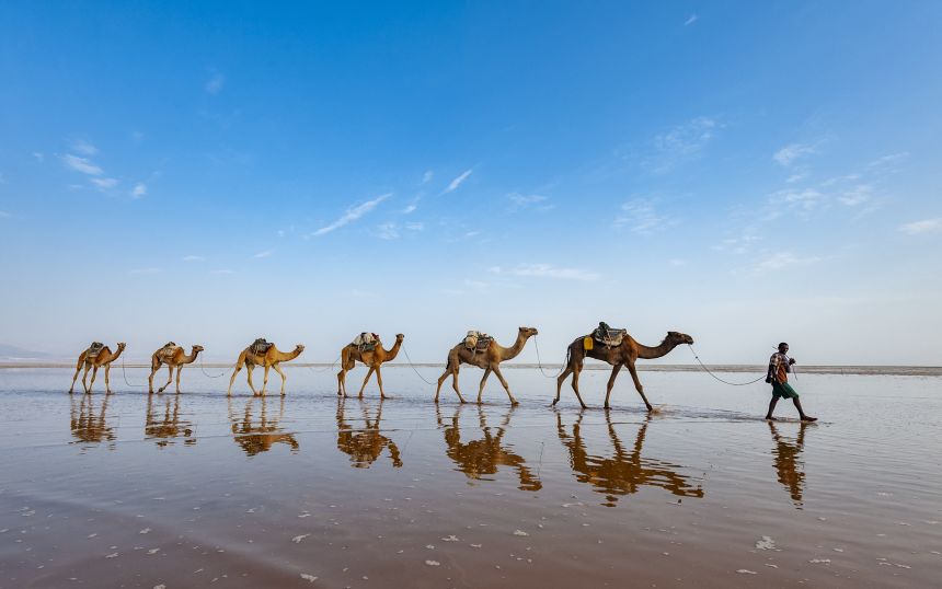 A caravan of camels piloted by members of the Afar tribe crosses the landscape of northern Ethiopia. The Danakil Basin is one of the driest places in the world, but it was raining when Compion visited.