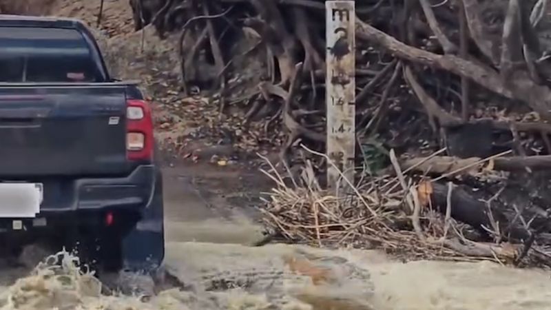 Multiple Crocodile Rescues Reported in Odisha Villages Amid Rising Populations