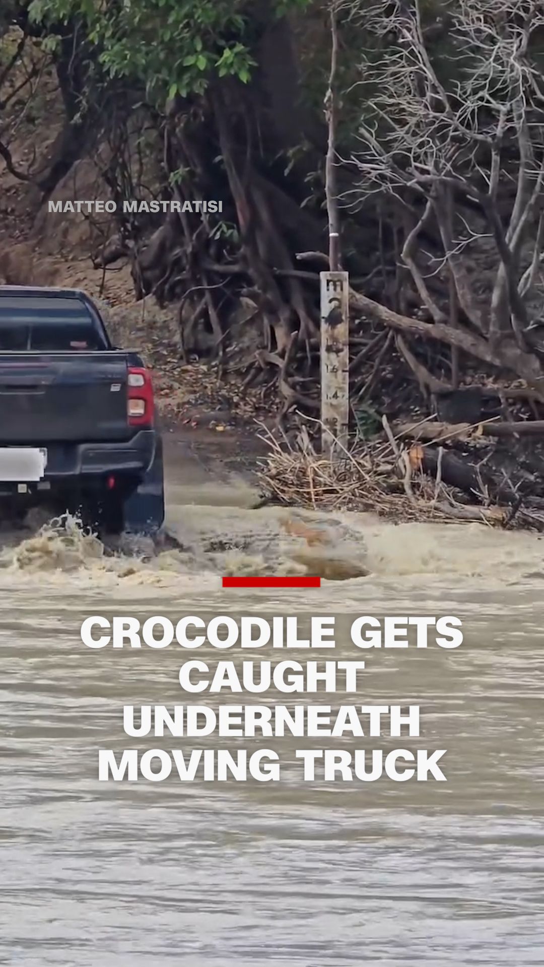 croc under truck font.jpg