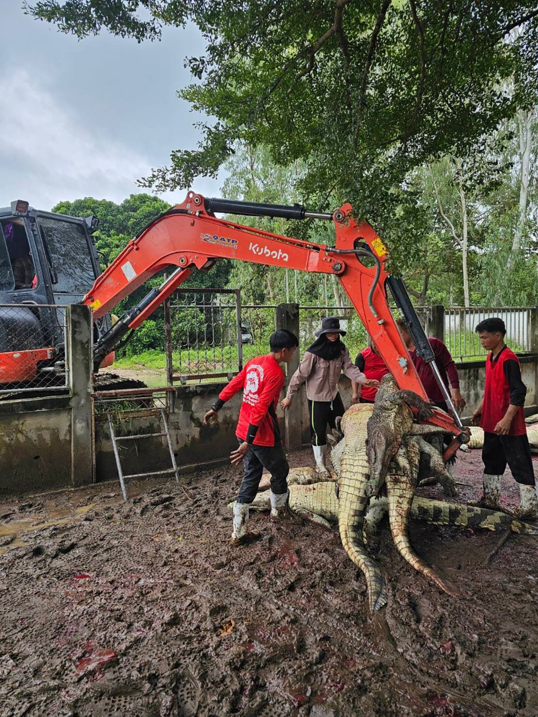 More than 100 crocodiles were killed to prevent them from escaping after a typhoon damaged their enclosure in Lamphun, northern Thailand.