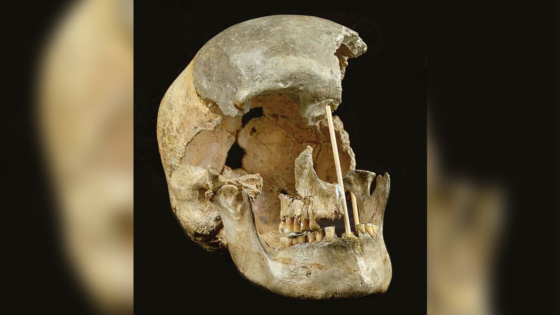 A skull found in Zlatý kůň in the Czech Republic contains DNA that linked the woman to the Ranis individuals.