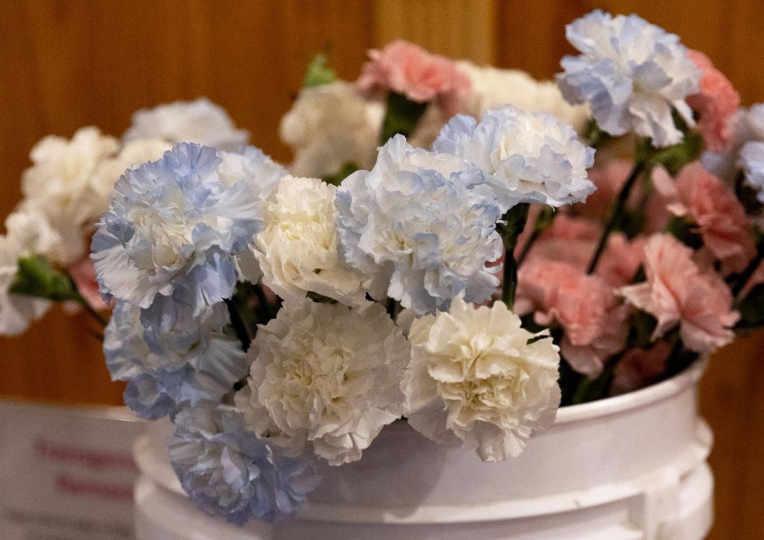 Cut carnations in blue, white and pink -- the colors of the transgender flag -- sit in a bucket of water at a Transgender Remembrance Day event at a church in Lewes, Delaware on Wednesday. 