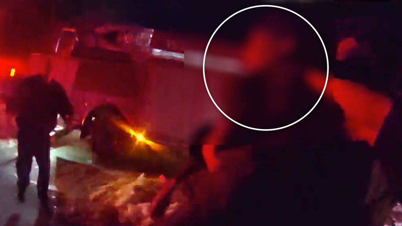 CT 20yr captive rescue digvid.png
