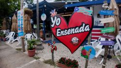 CTE ALELI PICS.00_06_16_06.Still001.jpg