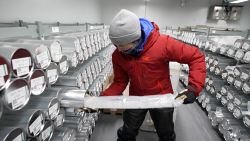 CTE_ALISON CRISCITIELLO PICS.00_03_39_10.Still002.jpg