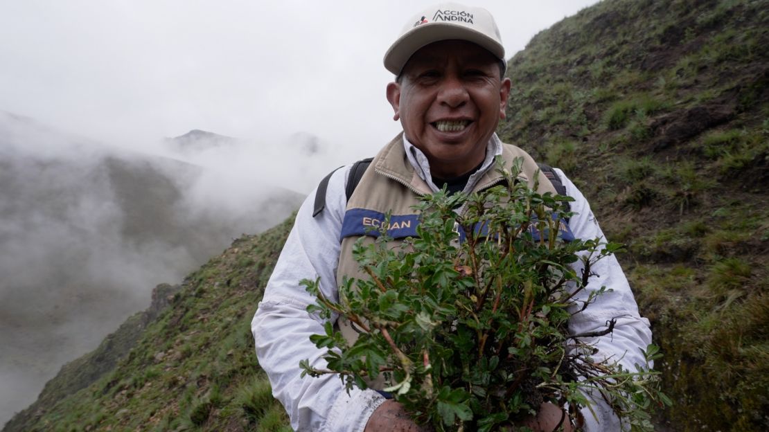 Constantino Aucca Chutas has dedicated his life to restoring the ancient forests of the Andes.