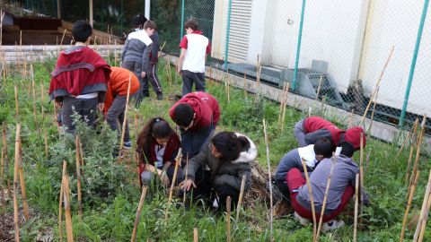 Zahrat El-Ihsan students learning about their school's green spaces.