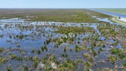 CTE Everglades PT2 PICS.00_01_52_00.Still004 (1).jpg