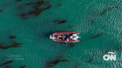 CTE FDN POR EL MAR ARG PICS H.00_03_56_23.Still028.jpg