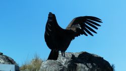 CTE JACOME PICS H.00_06_01_02.Still022.jpg