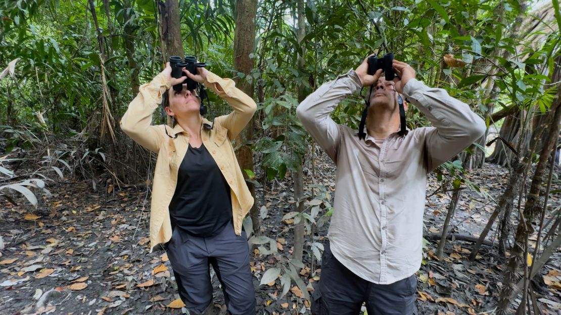 Andrés Link y Gabriela de Luna llevan 20 años trabajando por la conservación de los monos araña café en Colombia.