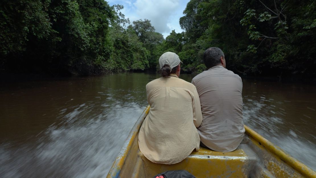 El bosque que habitan los monos araña café en el Magdalena Medio de Colombia es cálido, muy húmedo y de difícil acceso.