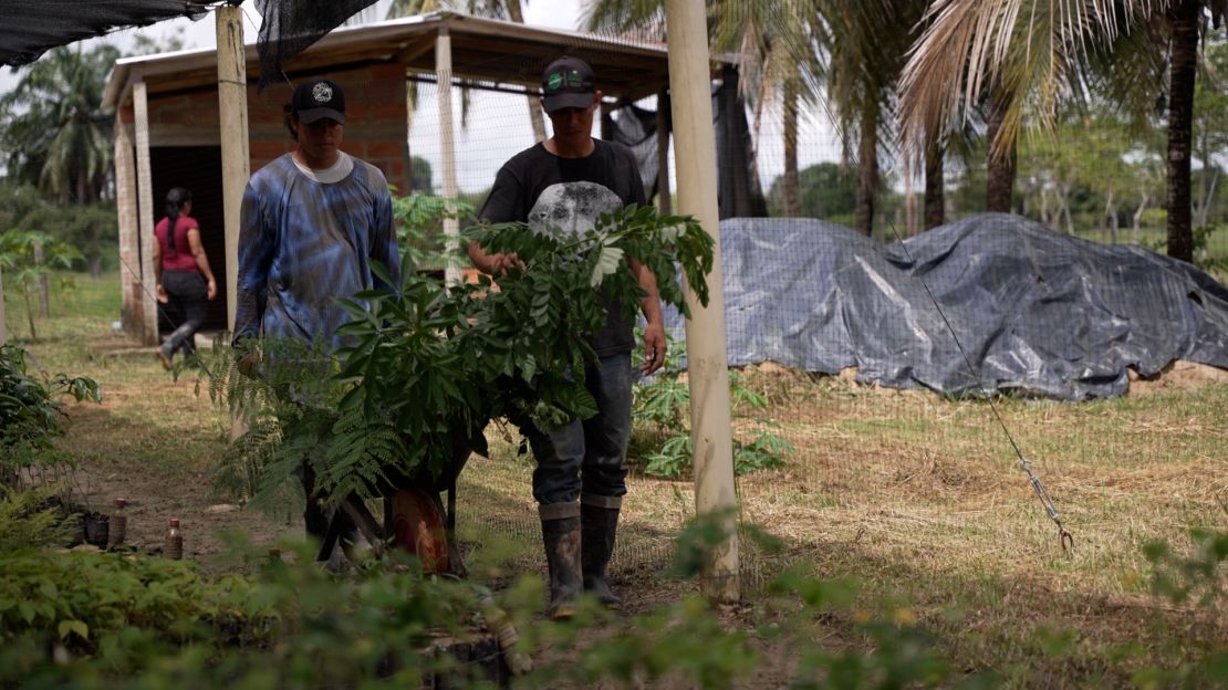 La comunidad del Magdalena Medio está involucrada en las tareas de conservación para salvaguardar la biodiversidad de la región.