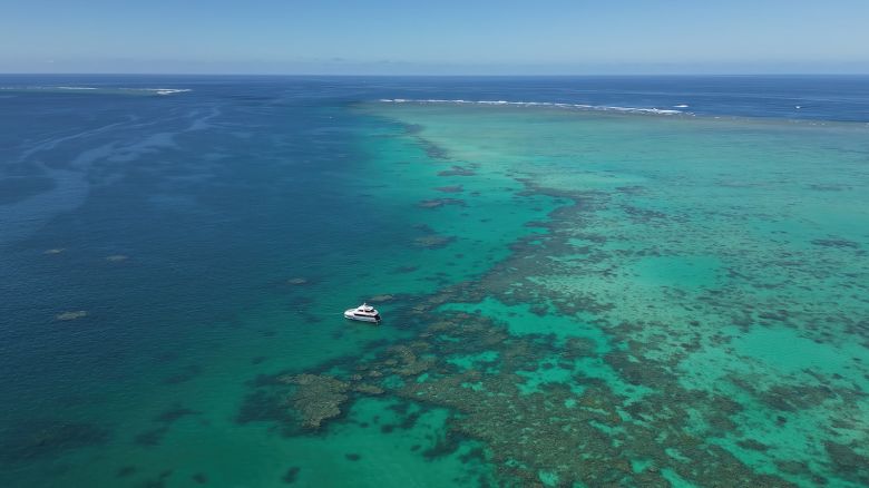When out in the field, the team works off a boat, diving to collect and analyze specific coral species.