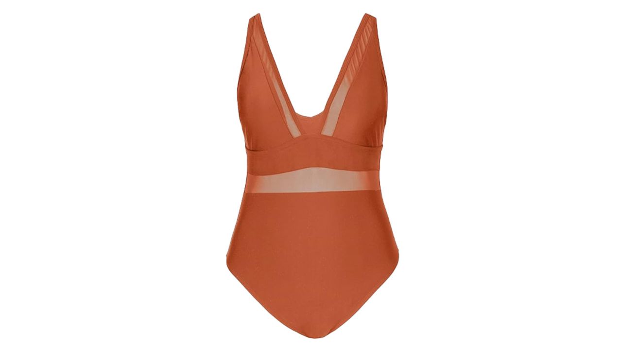 Cupshe Mesh One Piece swimsuit