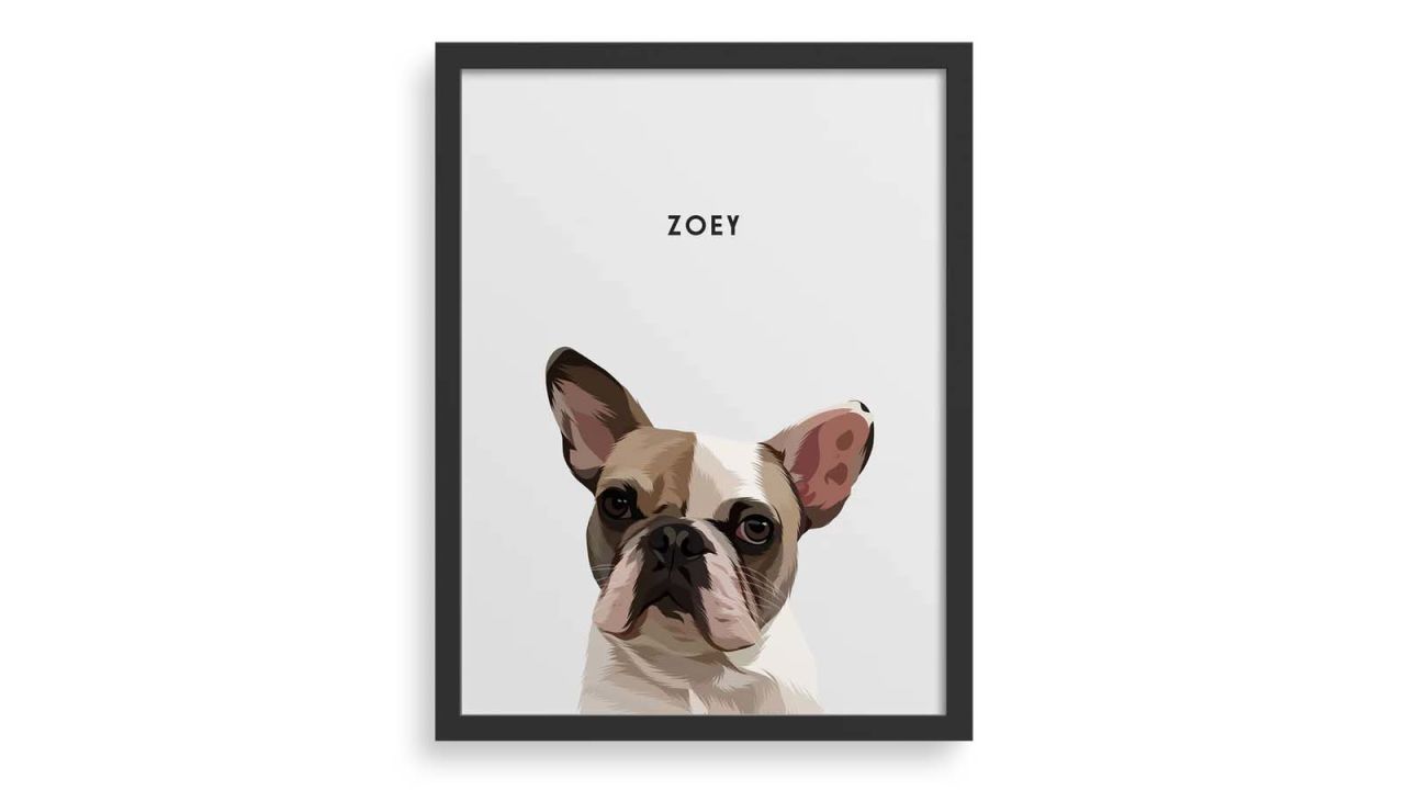 A framed illustration of a bulldog on a white background.