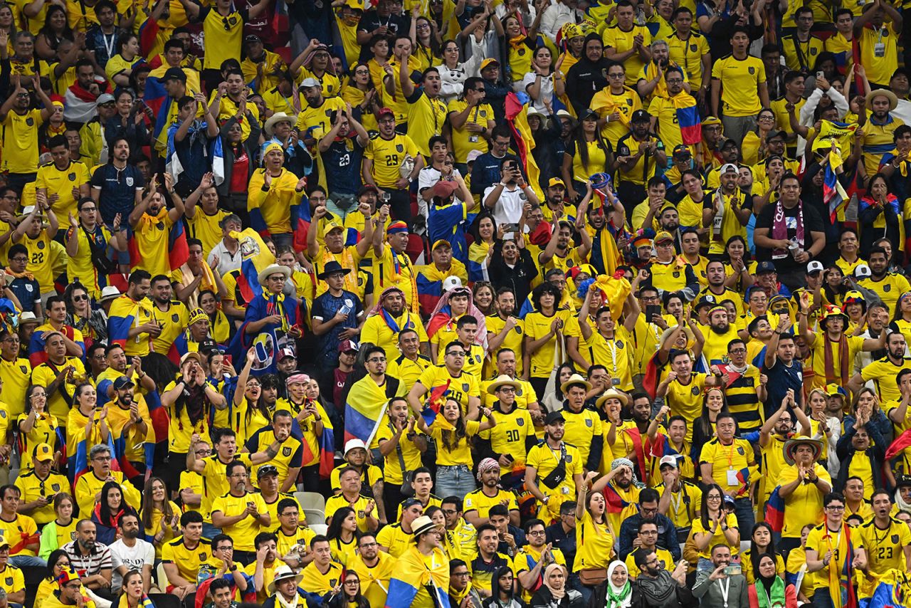 Ecuador fans are seen inside the stadium.